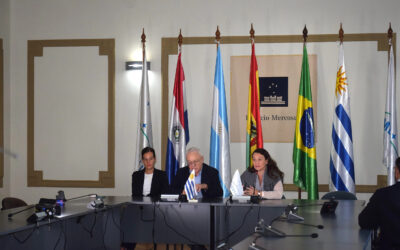 VISEC ante el Acuerdo MERCOSUR – Unión Europea y el Reglamento EUDR