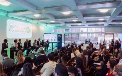 VISEC: El proyecto argentino que llega a la Semana del Clima de Nueva York